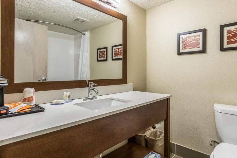 Bathroom 5, Comfort Inn N Myrtle Beach Barefoot Landing, Horry