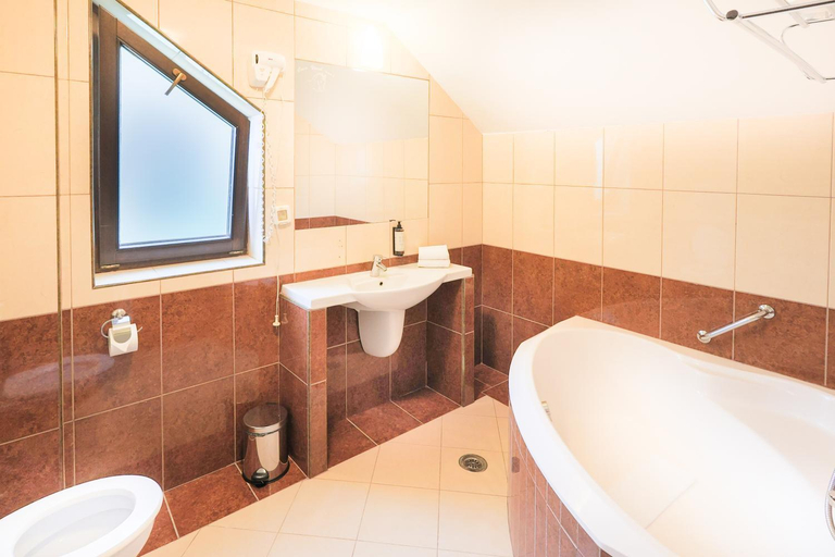 Bathroom 3, Hotel Ohma - Casa Viorel, Brasov