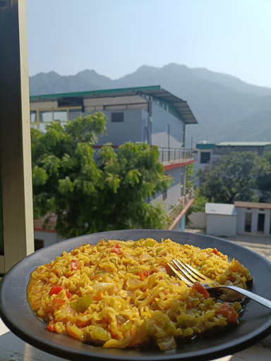 Food & Drinks 5, The GreenView HomeStay, Garhwal