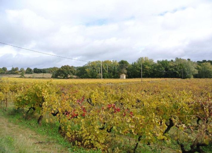 View from property 5, Superb Yurt of Mongolian Tradition in Provence, Vaucluse
