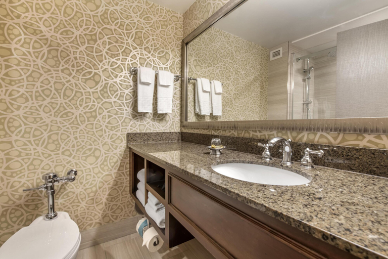 Bathroom 4, Best Western Plus The Normandy Inn & Suites, Hennepin