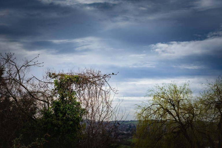 Miscellaneous 3, Glastonbury Hill Escape, Somerset