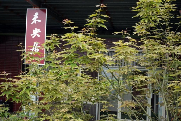 Exterior & Views 2, WayYoungHouse B&B, New Taipei City