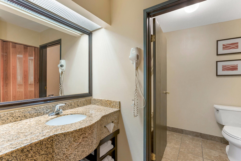 Bathroom 4, Comfort Inn Phoenix Central City, Maricopa