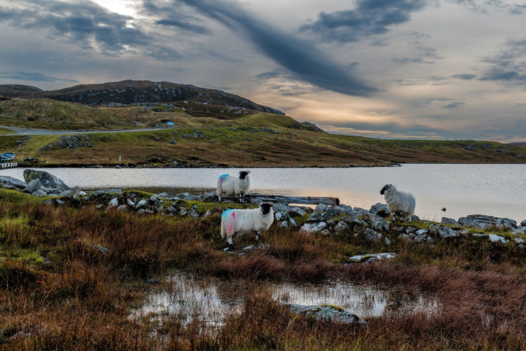 Others 5, Arnisdale House, Eilean Siar