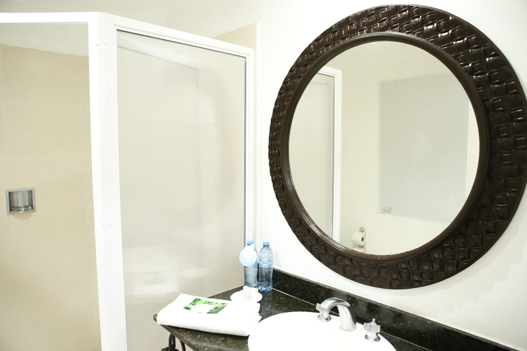 Bathroom 4, Hotel Las Palomas Tepic Express, Tepic