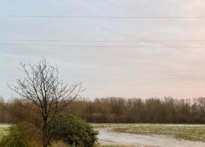 View from property 5, Scherpenheuvel Garden Home, Vlaams Brabant