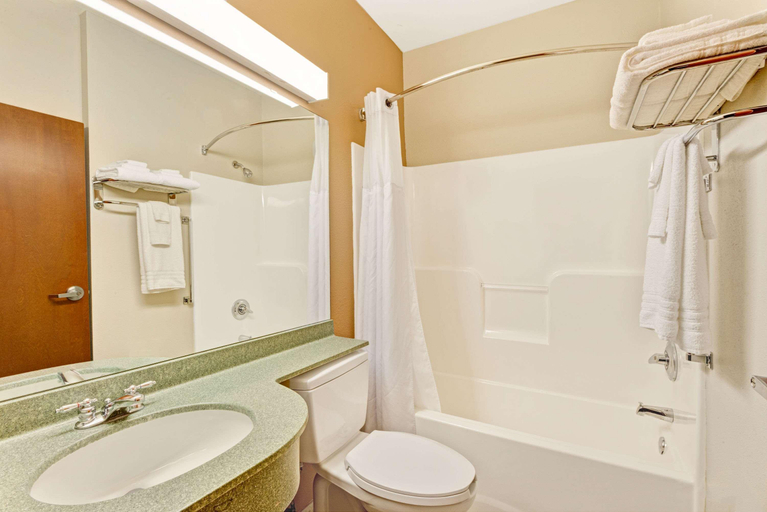 Bathroom 4, Microtel Inn & Suites by Wyndham York, York