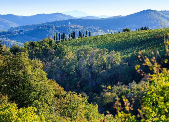 View from property 5, Serene Chianti Retreat, Arezzo
