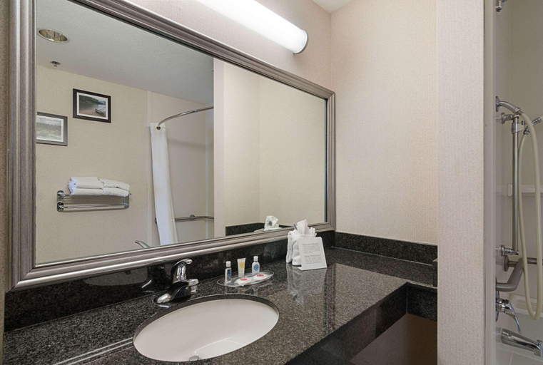 Bathroom 4, Quality Suites Springdale, Washington
