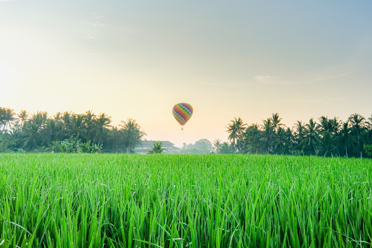 Others 5, Ubud Jungle Stay - Mahari by WAHM, Gianyar