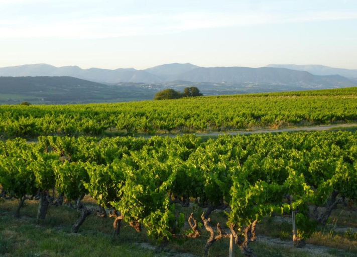 View from property 3, Superb Yurt of Mongolian Tradition in Provence, Vaucluse