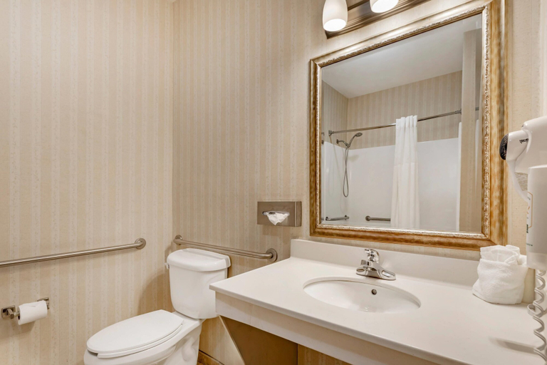 Bathroom 4, Quality Inn & Suites Wellington - Fort Collins, Larimer