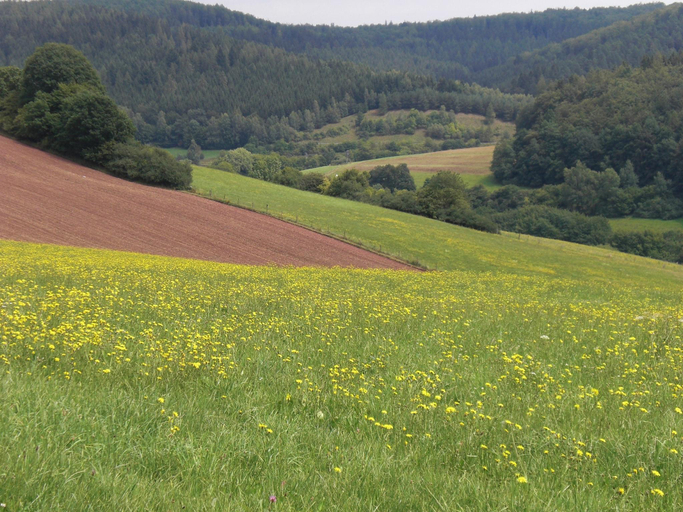 Others 4, Dog-friendly holiday home in the Knull, Hersfeld-Rotenburg