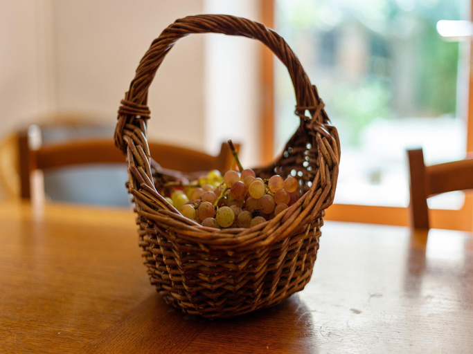 Food & Drinks, Holiday Home in Tautavel near Gorges de Gouleyrous, Pyrénées-Orientales