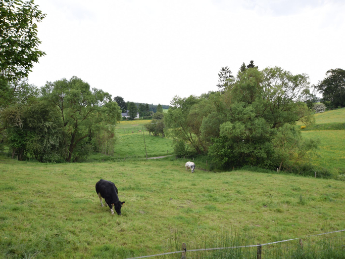 Others 5, Cottage in Ardennes with Heated Pool, Luxembourg