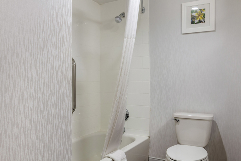 Bathroom 4, Hampton Inn Adel, Cook