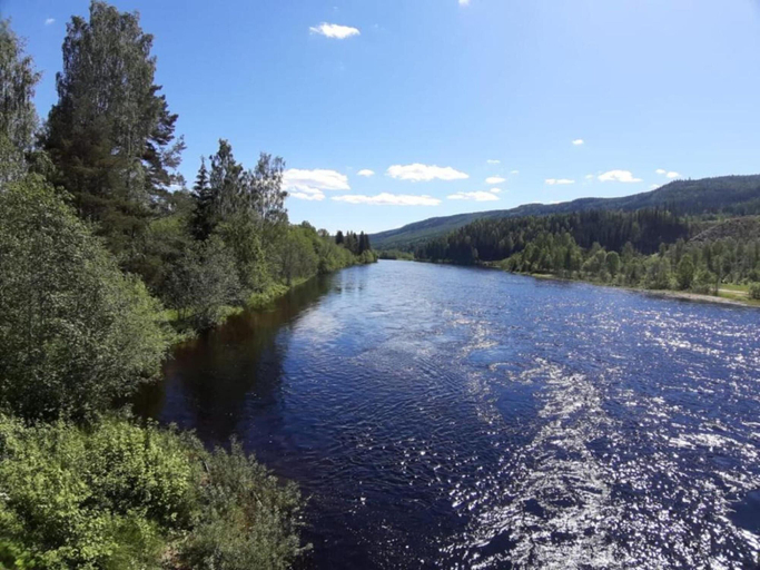Others 5, A Grand Getaway for Family and Friends, Torsby