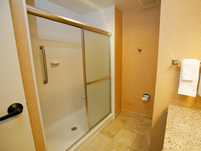 Bathroom 4, Hampton Inn & Suites Mobile-Downtown Historic District, Mobile