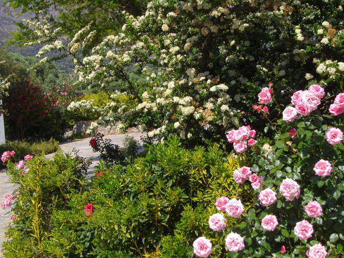 Others 5, Villa in Lefkogia with Private Pool, Crete