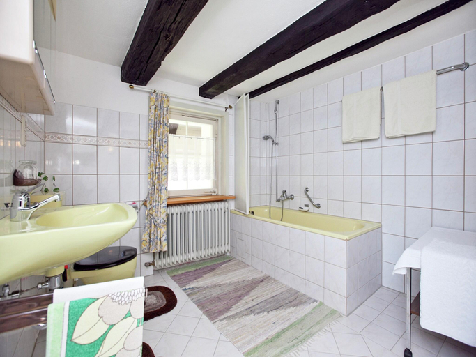 Bathroom, Ferienwohnung im Schwarzwald mit Garten, Waldshut