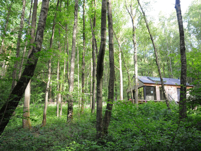 Others 5, Chalet in Oignies near French Border, Namur