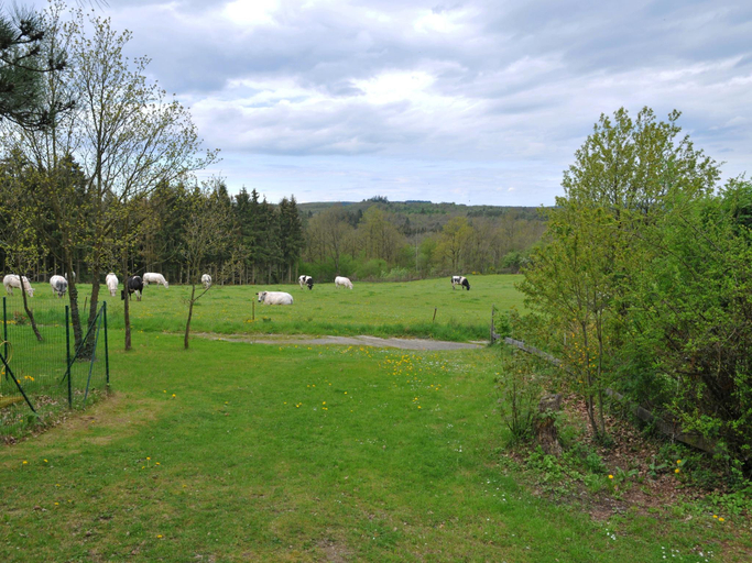 Others 4, Holiday Home in Houyet near Royal Castle, Namur