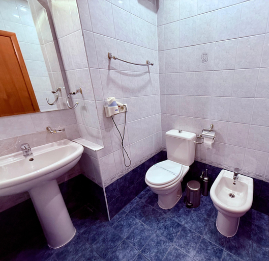 Bathroom 4, Hotel Excelsior, Timisoara