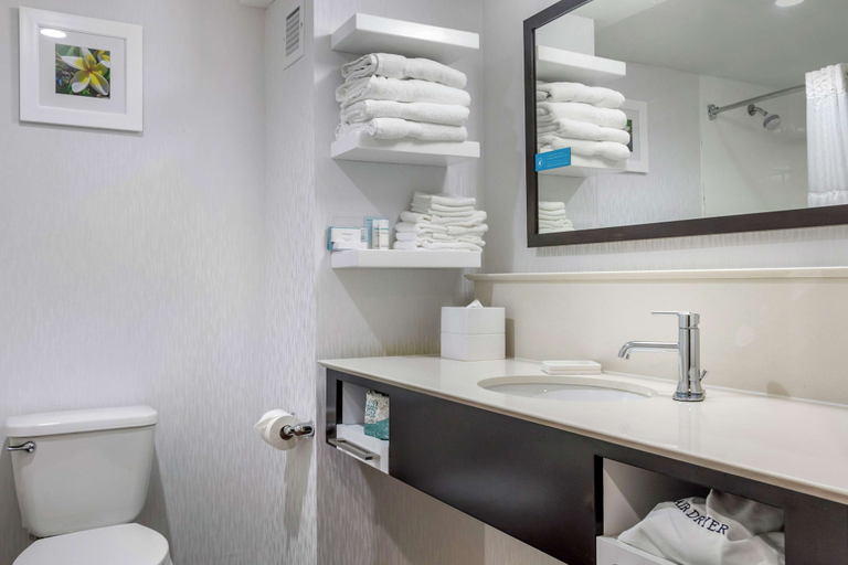Bathroom 4, Hampton Inn Adel, Cook