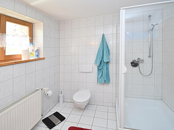 Bathroom 2, Ferienhaus in Rinchnach am Arbersee, Regen