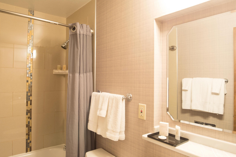 Bathroom 4, The Voyager Inn, Anchorage