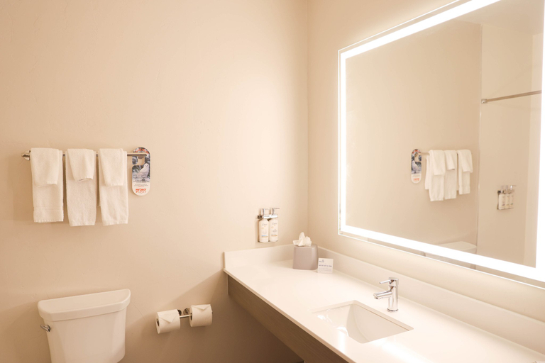 Holiday Inn Express Hotel & Suites Douglas by IHG Room Type - Suite, 1 King Bed (Wet Bar)