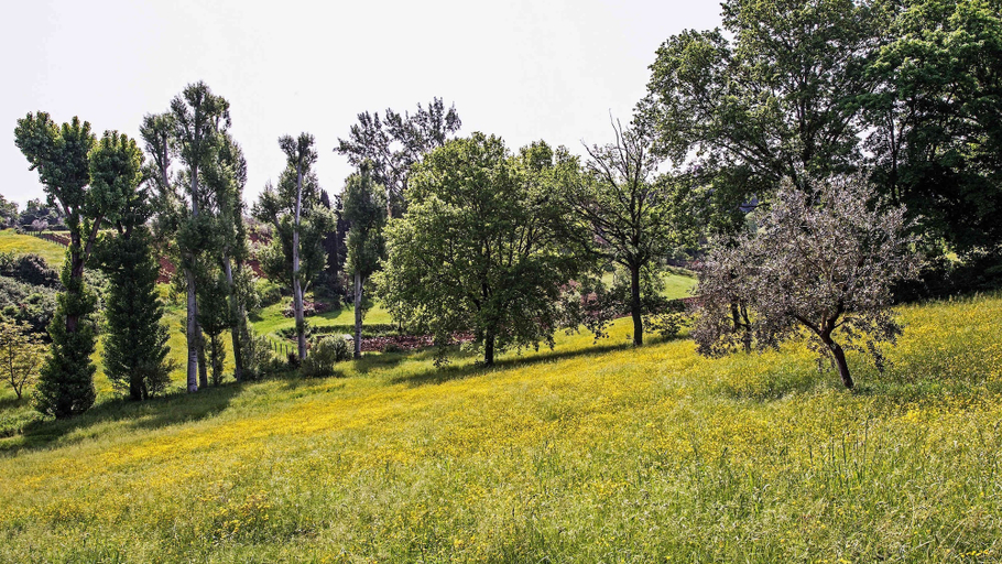 Room 2, w Historic Tower w Private Pool Near Florence, Florence