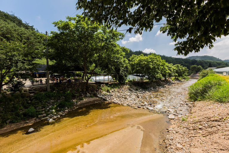 Others 5, hongceon byeolbicheureuneunmaeul pensyeon, Hongcheon