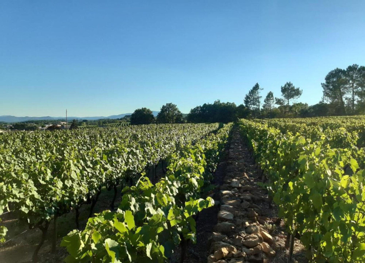 View from property 3, Charming Stone House, Ardèche