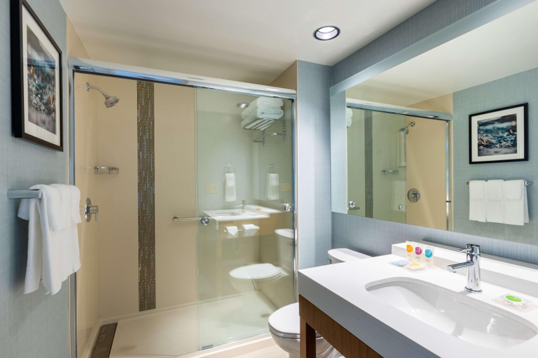 Bathroom, Hyatt Place Atlanta / Centennial Park, Atlanta