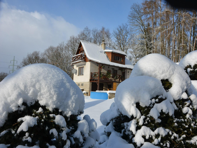 Others 4, Mountain Retreat with Pool, Semily