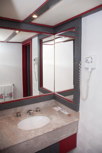 Bathroom 3, Hotel La Rosa - Solo Adultos, Mexico City