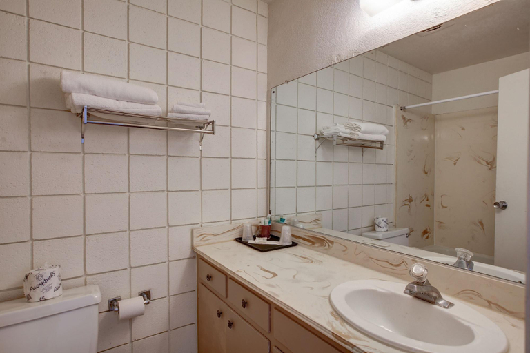 Bathroom 4, Desert Hot Springs Spa Hotel, Riverside