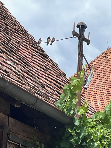 Exterior & Views 2, Schlafen im Weinfass, Neustadt an der Aisch-Bad Windsheim