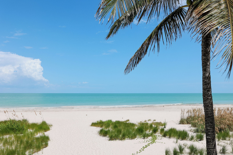 Others 5, Sanibel Siesta on the Beach, Lee