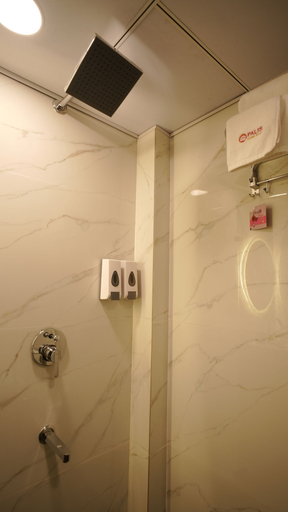 Bathroom 2, Pali's Stay, Jaipur