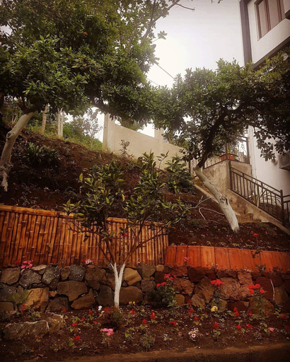 Exterior & Views 2, Holiday House Green Cape Batumi, Kobuleti