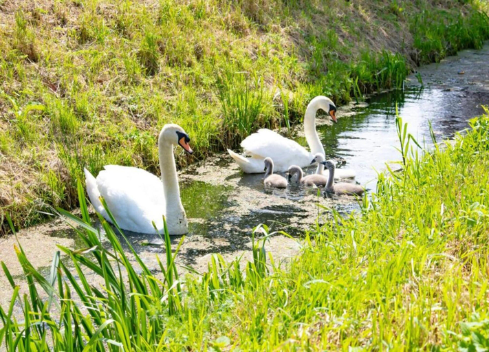 View from property 3, Getaway With Garden in Gelderland, Zelhem