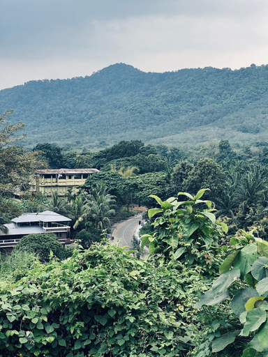 Others 3, 7FORT HOMESTAY Athirappilly, Thrissur