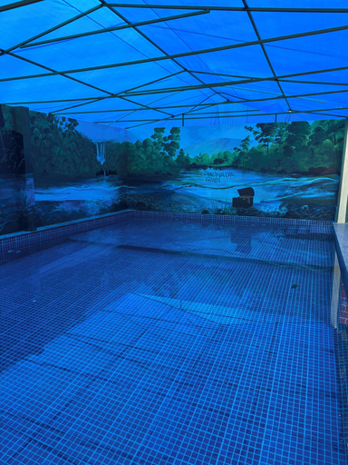 Sport & Beauty, GandhadaGudi Nature Retreat, Bangalore