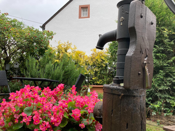 Others 5, Apartment Welschbilling near Trails, Trier-Saarburg