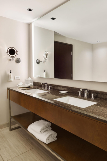 Bathroom 4, Hilton Garden Inn Chihuahua, Chihuahua