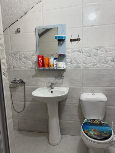 Bathroom 3, Black Sea Pearl, Batumi