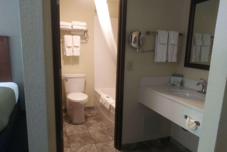 Bathroom 4, AmericInn by Wyndham Red Wing, Goodhue